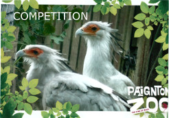 Two birds at Paignton Zoo, advertising a competition.